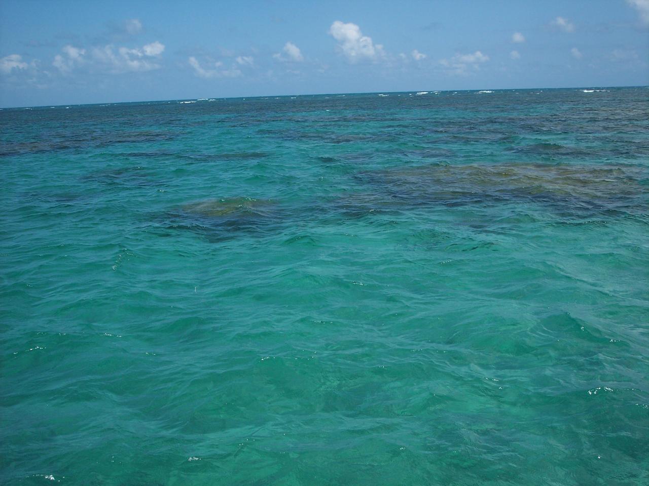 Parrachos de Maracajau 