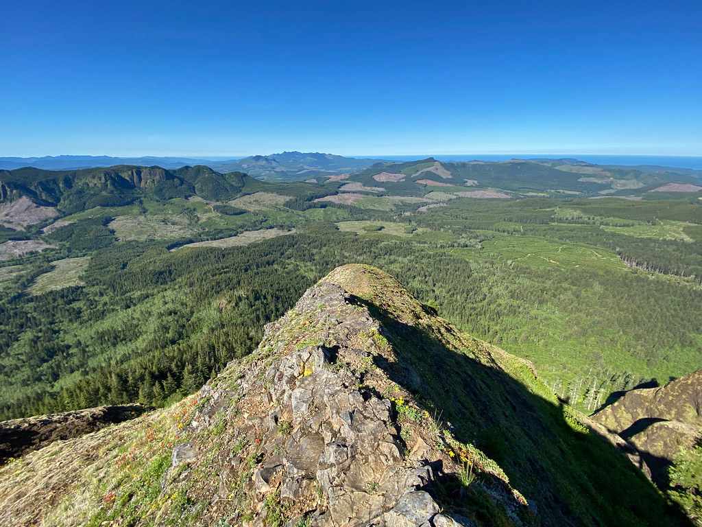 Saddle Mountain hike oregon